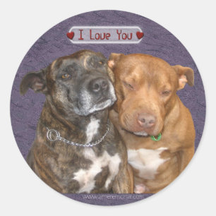 I Love You Snuggling Staffys Classic Round Sticker