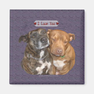 I Love You Snuggling Staffys Magnet