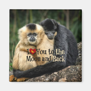 I Love You to the Moon and Back Magnet