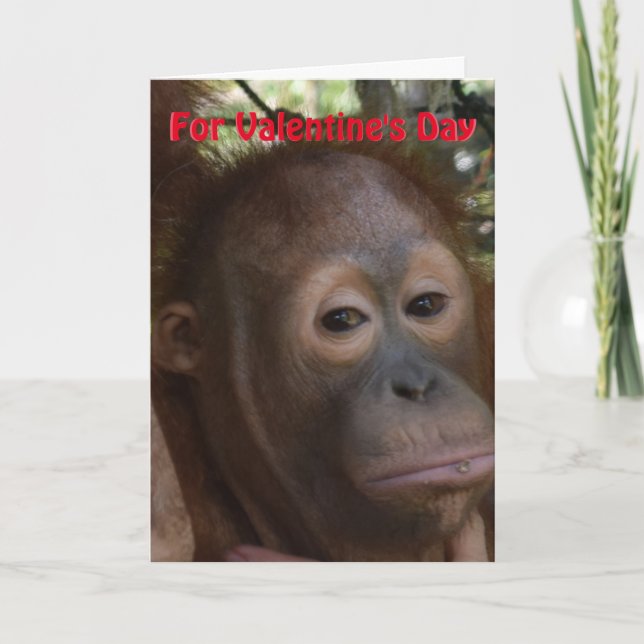 I Love You Valentine Be Mine Holiday Card (Front)