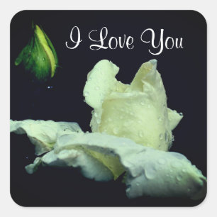 I Love You White Rosebud Flower Square Sticker
