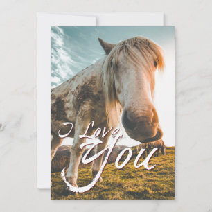 I love you with looking Horse