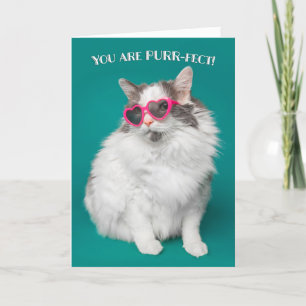 I Love You You are Purr-fect Cat in Sunglasses Holiday Card