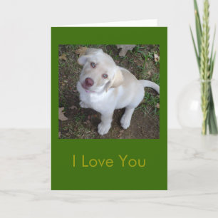 I Love You - You're My Favourite Human Card