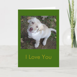 I Love You - You're My Favourite Human Card