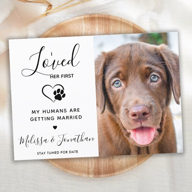 I Loved Her First Modern Pet Photo Dog Engagement Announcement (Creator Uploaded)