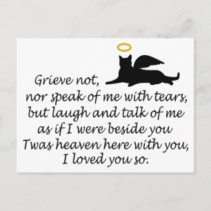 I Loved You So Postcard