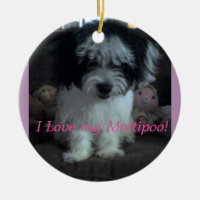 I Lovee my Maltipoo! Ornament