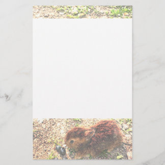 I LUV BUNNIES! Cute Stationery