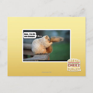 I luv dis new shampoo postcard