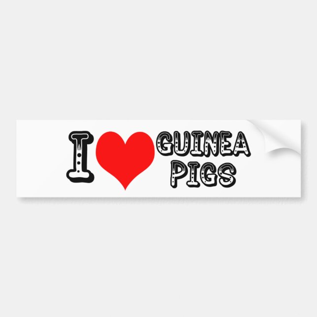 I luv guinea pigs bumper sticker (Front)