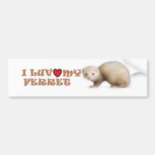 I Luv My Ferret Bumper Sticker