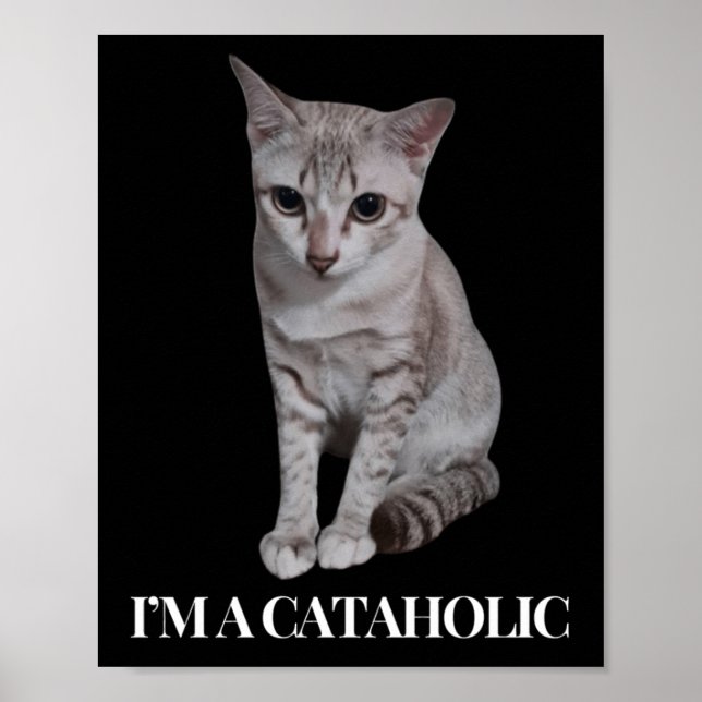 I’m A Cataholic Lovely Cat Fashion  Poster (Front)