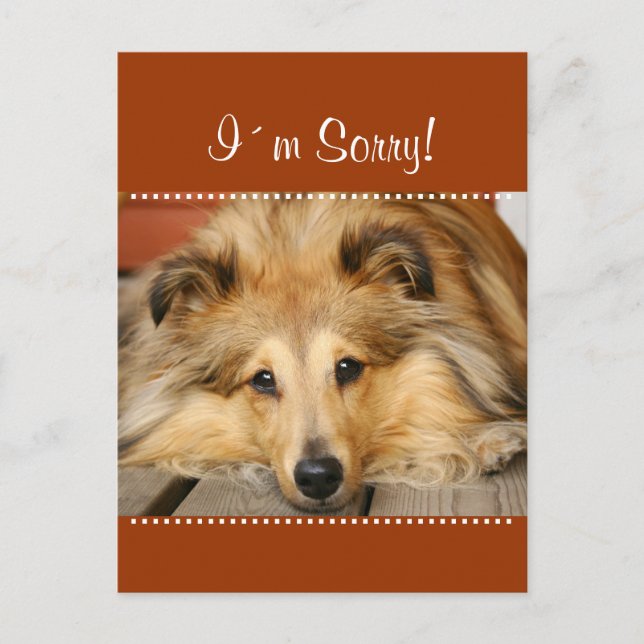 I´m Sorry postcard (Front)