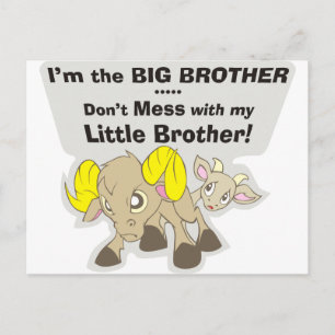 I’m the Big Brother, Don’t Mess my Little Brother Postcard