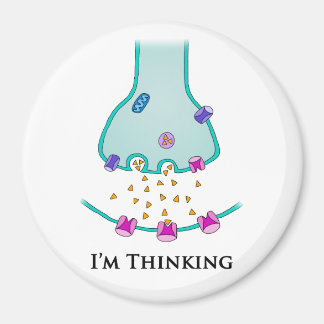 I’m Thinking Neuron Synapse Magnet