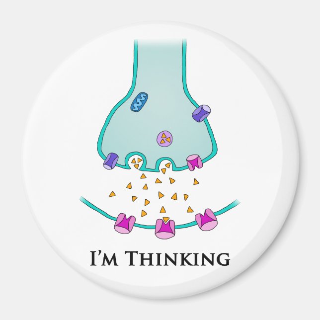 I’m Thinking Neuron Synapse Magnet (Front)