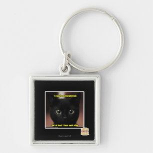 I may be schizophrenic key ring