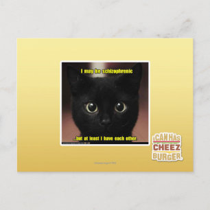 I may be schizophrenic postcard