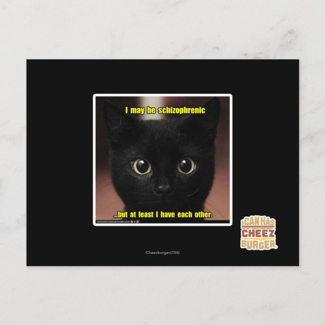 I may be schizophrenic postcard (Front)