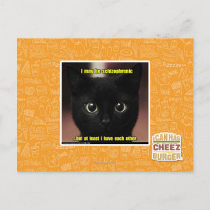 I may be schizophrenic postcard