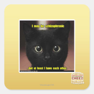 I may be schizophrenic square sticker