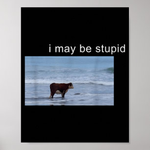 I May Be Stud Cow Meme I May Be Stud Funny  Poster