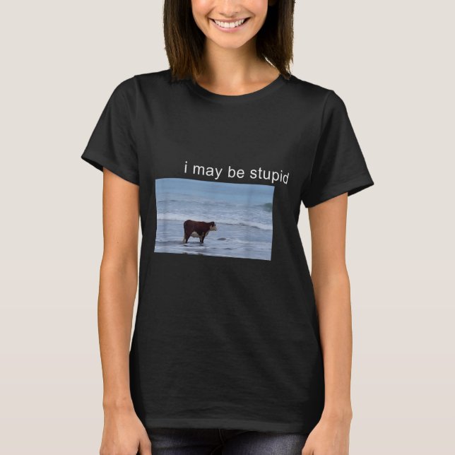 I May Be Stud Cow Meme I May Be Stud Funny  T-Shirt (Front)