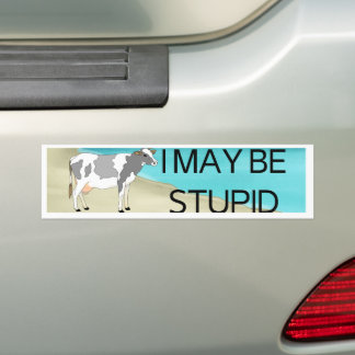 I May Be Stupid | Bumper Sticker | Meme Sticker |