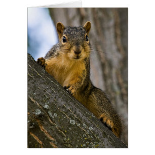 I Might Be Interested