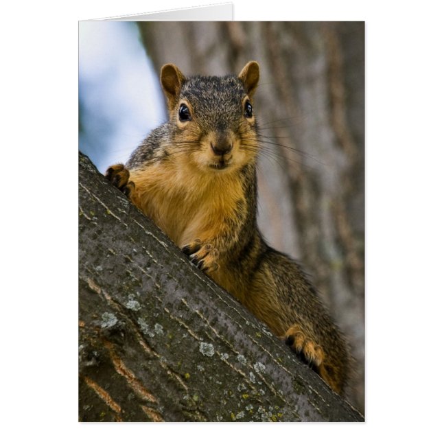 I Might Be Interested (Front)