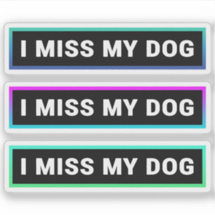 I Miss My Dog