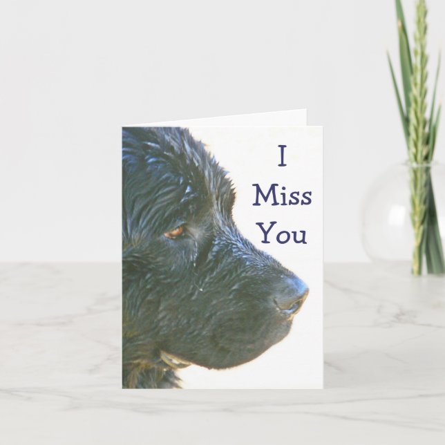 "I Miss You" Beautiful,Sad-looking Newfie Dog (pho Card (Front)