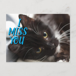 I Miss You Black/White Cat Postcard