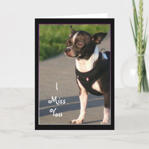I Miss You Chihuahua Greeting Card