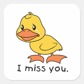 I Miss You Crying Yellow Duckling Duck Mug Hat Square Sticker