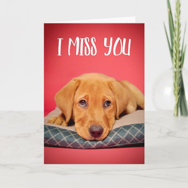 I Miss You Cute Labrador Puppy Dog With Sad Eyes Holiday Card (Front)