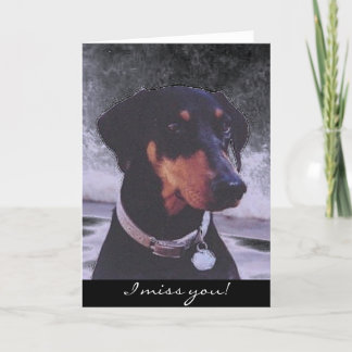 I miss you!  doberman card