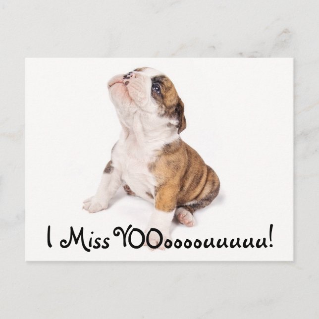 I Miss You English Bulldog Post Card (Front)