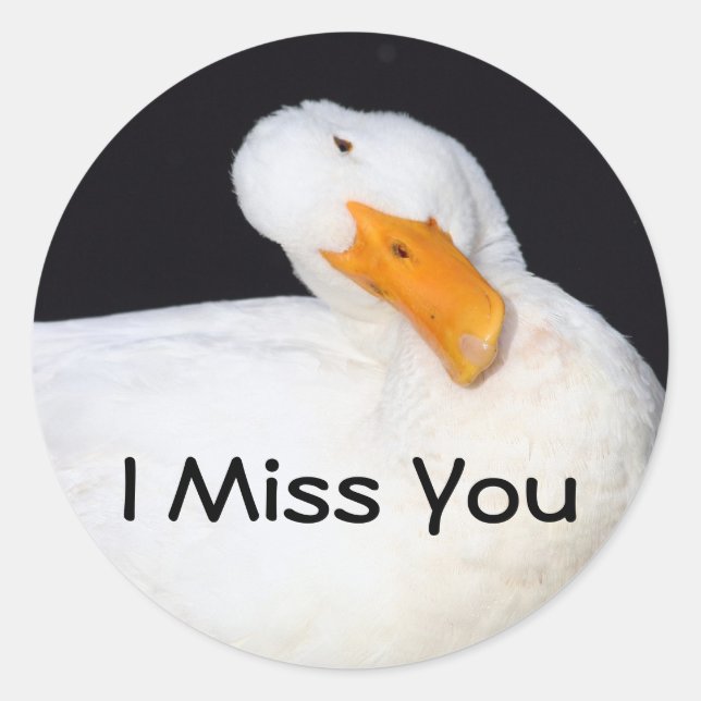 I Miss You, funny duck stickers (Front)