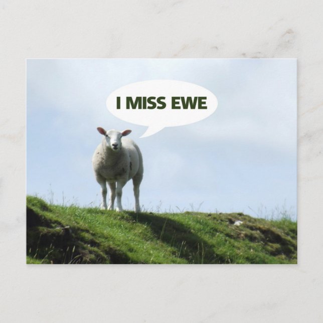 I Miss You Funny Sheep Ewe Postcard (Front)