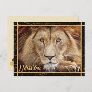 I Miss You Lion Photo Image Postcard