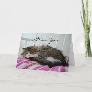 I Miss You, Maine Coon Cat Card