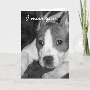 I miss you pitbull greeting card