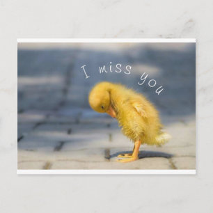 I Miss You Post Card