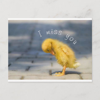 I Miss You Post Card