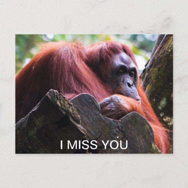 I miss you postcard (Front)