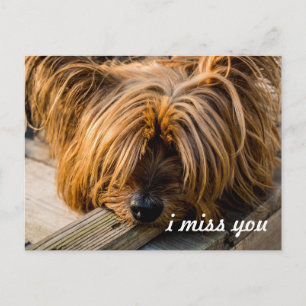 I miss you postcard