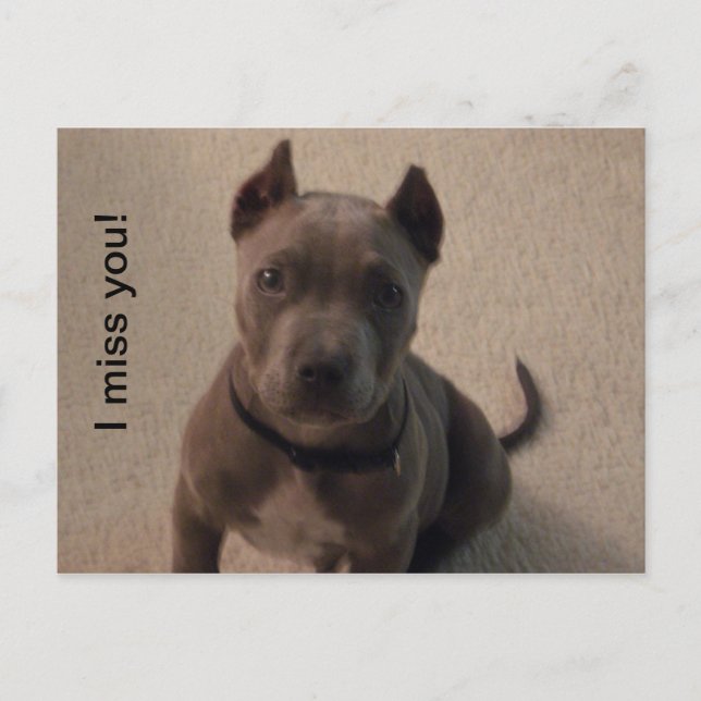 I miss you! postcard (Front)