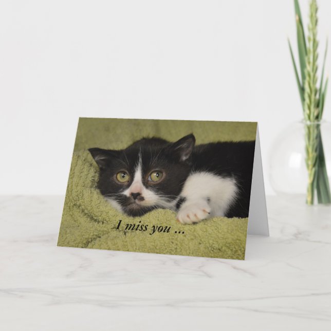 I Miss You, Shy Tuxedo Kitten Card (Front)